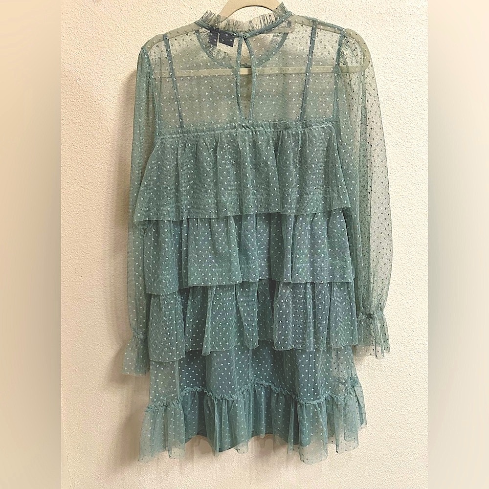 Sheer Polka Dot Ruffle Dress